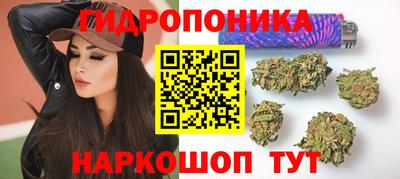 гидропоника Коммунар